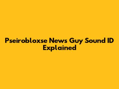 Pseirobloxse News Guy Sound ID Explained