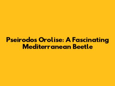 Pseirodos Orolise: A Fascinating Mediterranean Beetle