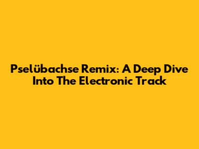 Pselübachse Remix: A Deep Dive Into The Electronic Track