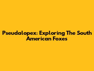 Pseudalopex: Exploring The South American Foxes