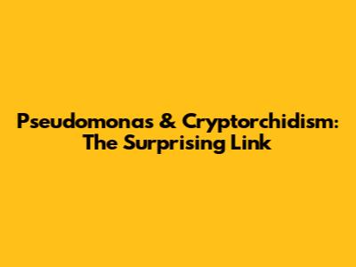 Pseudomonas & Cryptorchidism: The Surprising Link