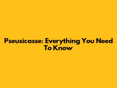 Pseusicasse: Everything You Need To Know