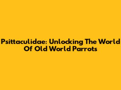 Psittaculidae: Unlocking The World Of Old World Parrots