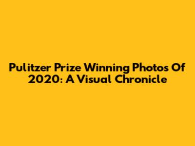 Pulitzer Prize Winning Photos Of 2020: A Visual Chronicle
