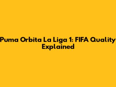 Puma Orbita La Liga 1: FIFA Quality Explained