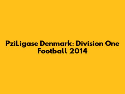 PziLigase Denmark: Division One Football 2014