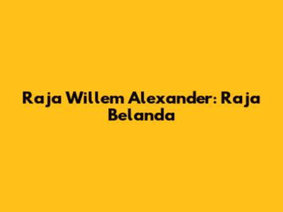 Raja Willem Alexander: Raja Belanda