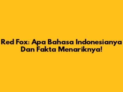 Red Fox: Apa Bahasa Indonesianya Dan Fakta Menariknya!