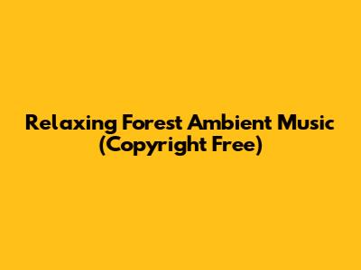 Relaxing Forest Ambient Music (Copyright Free)