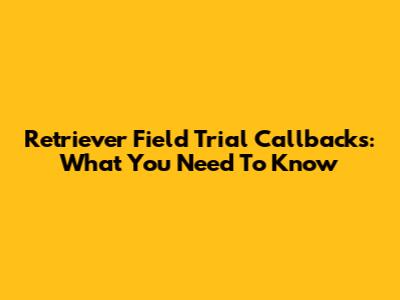 Retriever Field Trial Callbacks: What You Need To Know