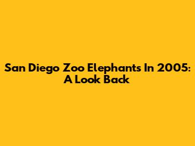 San Diego Zoo Elephants In 2005: A Look Back