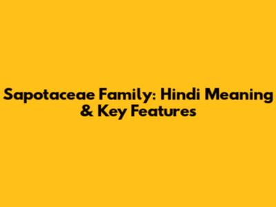 Sapotaceae Family: Hindi Meaning & Key Features