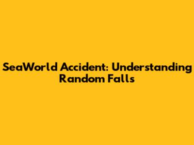SeaWorld Accident: Understanding Random Falls