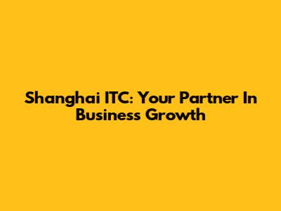 Shanghai ITC: Your Partner In Business Growth