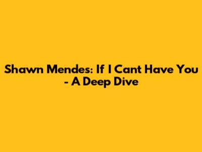 Shawn Mendes: "If I Can't Have You" - A Deep Dive