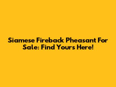 Siamese Fireback Pheasant For Sale: Find Yours Here!