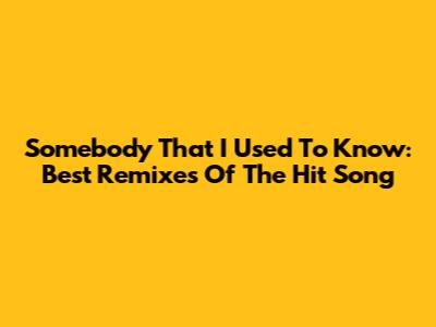 Somebody That I Used To Know: Best Remixes Of The Hit Song