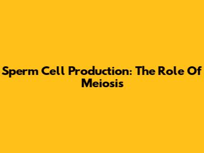 Sperm Cell Production: The Role Of Meiosis