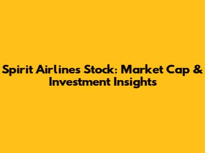 Spirit Airlines Stock: Market Cap & Investment Insights