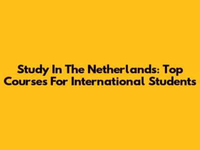 Study In The Netherlands: Top Courses For International Students