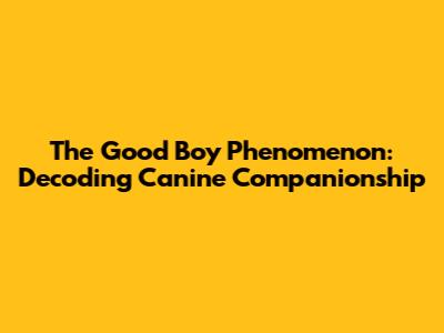 The "Good Boy" Phenomenon: Decoding Canine Companionship