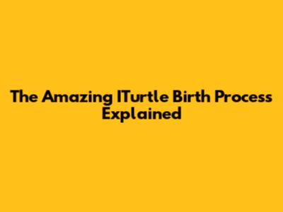 The Amazing ITurtle Birth Process Explained