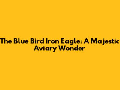 The Blue Bird Iron Eagle: A Majestic Aviary Wonder