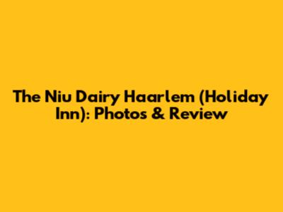 The Niu Dairy Haarlem (Holiday Inn): Photos & Review