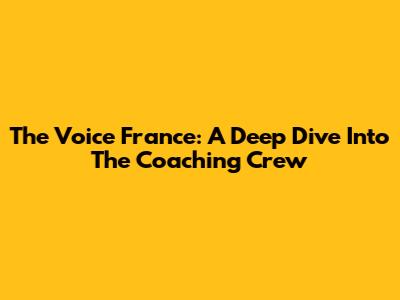The Voice France: A Deep Dive Into The Coaching Crew