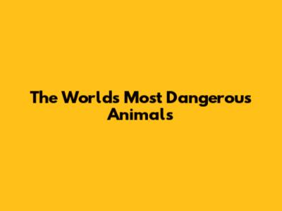The World's Most Dangerous Animals