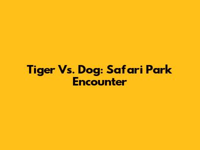 Tiger Vs. Dog: Safari Park Encounter