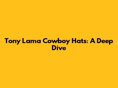 Tony Lama Cowboy Hats: A Deep Dive