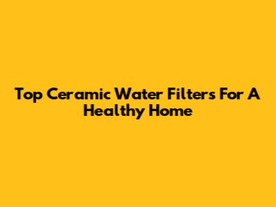 Top Ceramic Water Filters For A Healthy Home