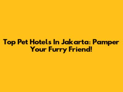 Top Pet Hotels In Jakarta: Pamper Your Furry Friend!