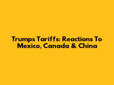 Trump's Tariffs: Reactions To Mexico, Canada & China