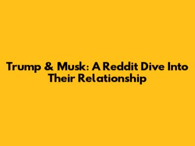 Trump & Musk: A Reddit Dive Into Their Relationship