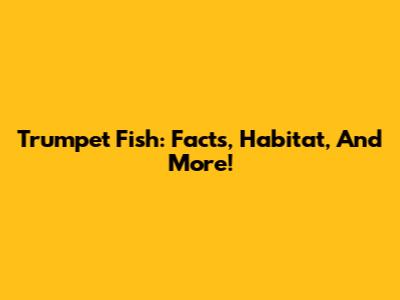 Trumpet Fish: Facts, Habitat, And More!