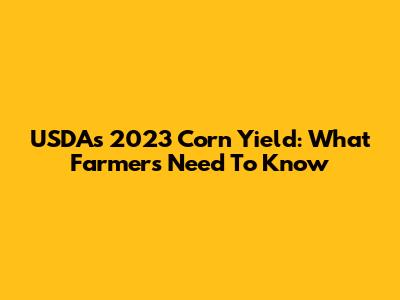 USDA's 2023 Corn Yield: What Farmers Need To Know