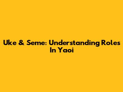 Uke & Seme: Understanding Roles In Yaoi