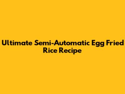 Ultimate Semi-Automatic Egg Fried Rice Recipe