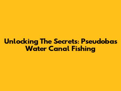 Unlocking The Secrets: Pseudobas Water Canal Fishing