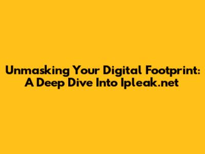 Unmasking Your Digital Footprint: A Deep Dive Into Ipleak.net