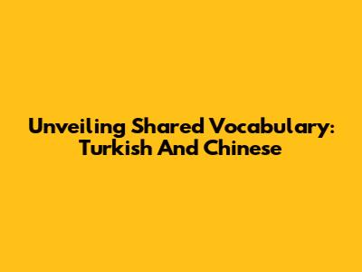 Unveiling Shared Vocabulary: Turkish And Chinese