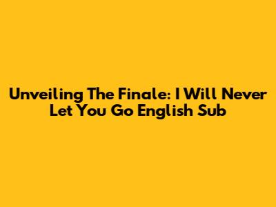 Unveiling The Finale: 'I Will Never Let You Go' English Sub