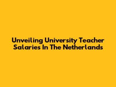 Unveiling University Teacher Salaries In The Netherlands