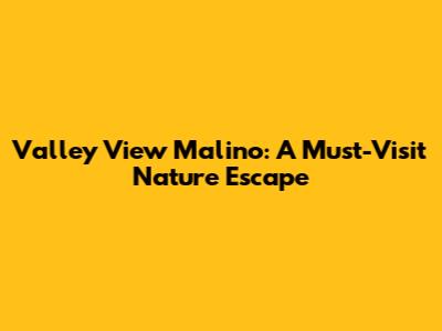 Valley View Malino: A Must-Visit Nature Escape