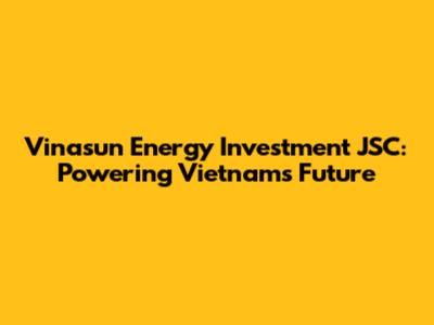 Vinasun Energy Investment JSC: Powering Vietnam's Future