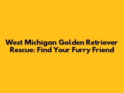 West Michigan Golden Retriever Rescue: Find Your Furry Friend