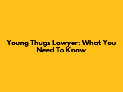 Young Thug's Lawyer: What You Need To Know
