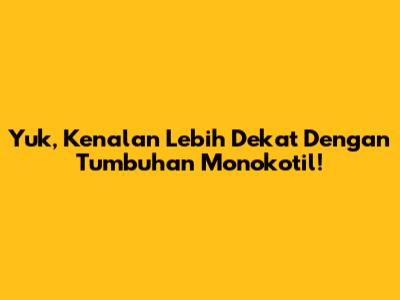Yuk, Kenalan Lebih Dekat Dengan Tumbuhan Monokotil!